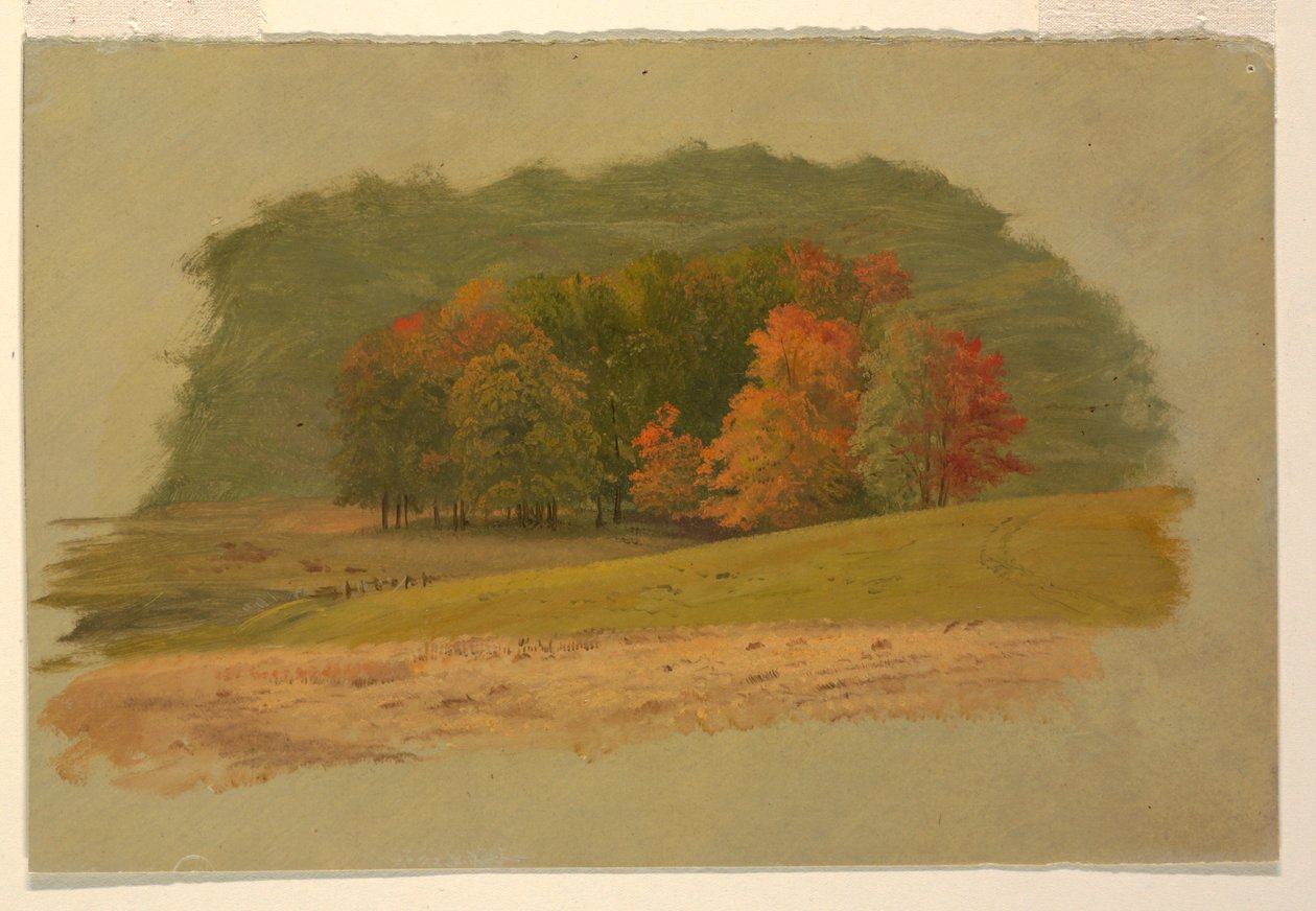 Herfstlandschap door Frederic Edwin Church
