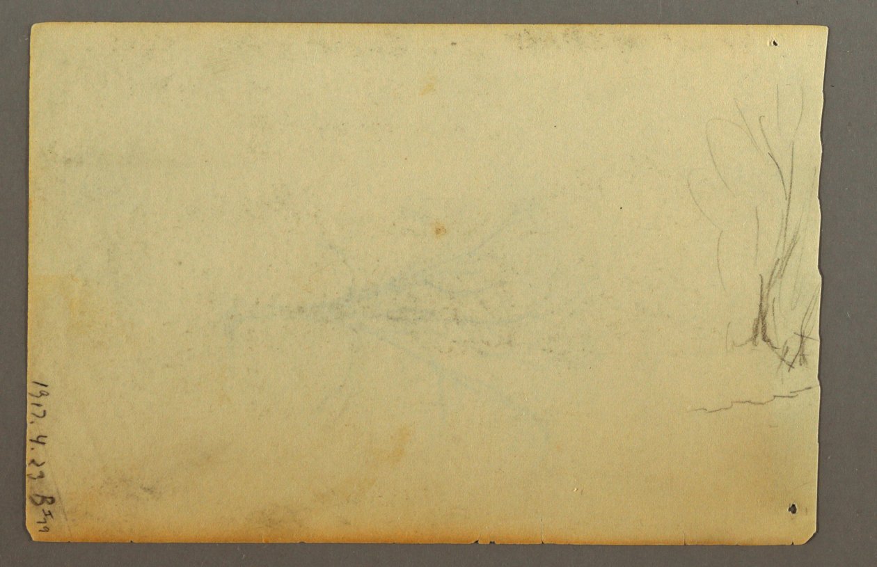 Tekening, Een boom zonder bladeren, februari 1845 door Frederic Edwin Church