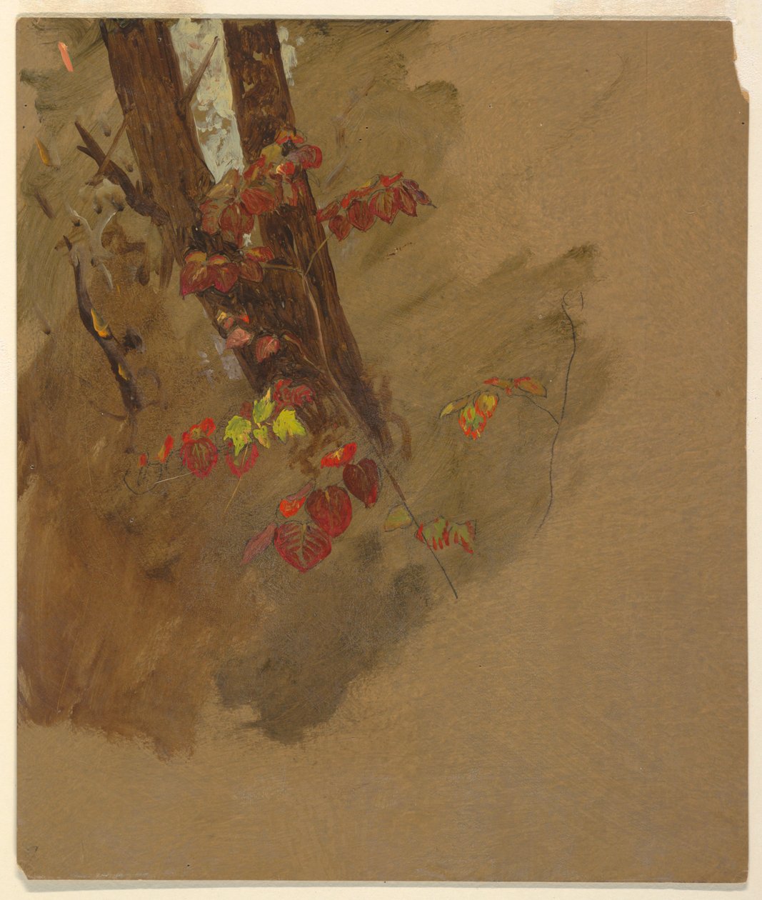 Tekening, Botanische studies, 1860-70 door Frederic Edwin Church