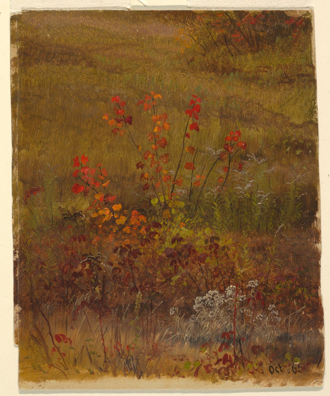 Tekening, Botanische studies, oktober 1865 door Frederic Edwin Church