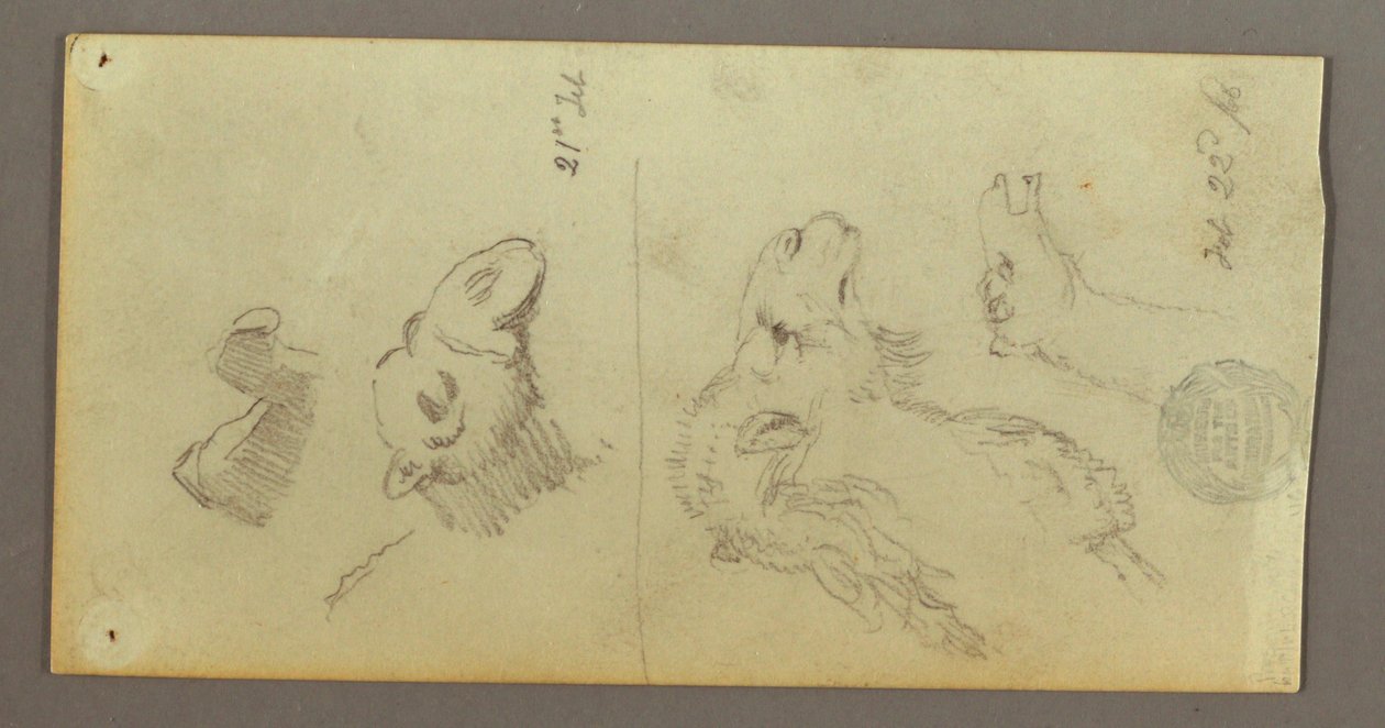 Tekening, Kamelenstudies, 21-22 februari 1868 door Frederic Edwin Church