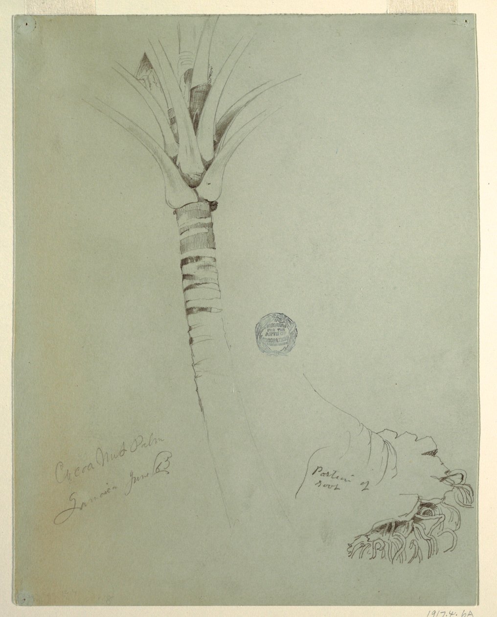 Tekening, Kokospalm, Jamaica, juni 1865 door Frederic Edwin Church