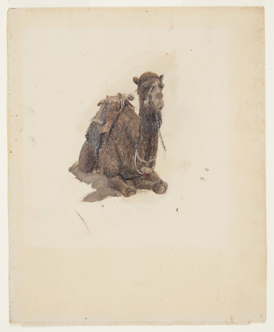 Tekening, hurkende dromedaris, 1868 door Frederic Edwin Church