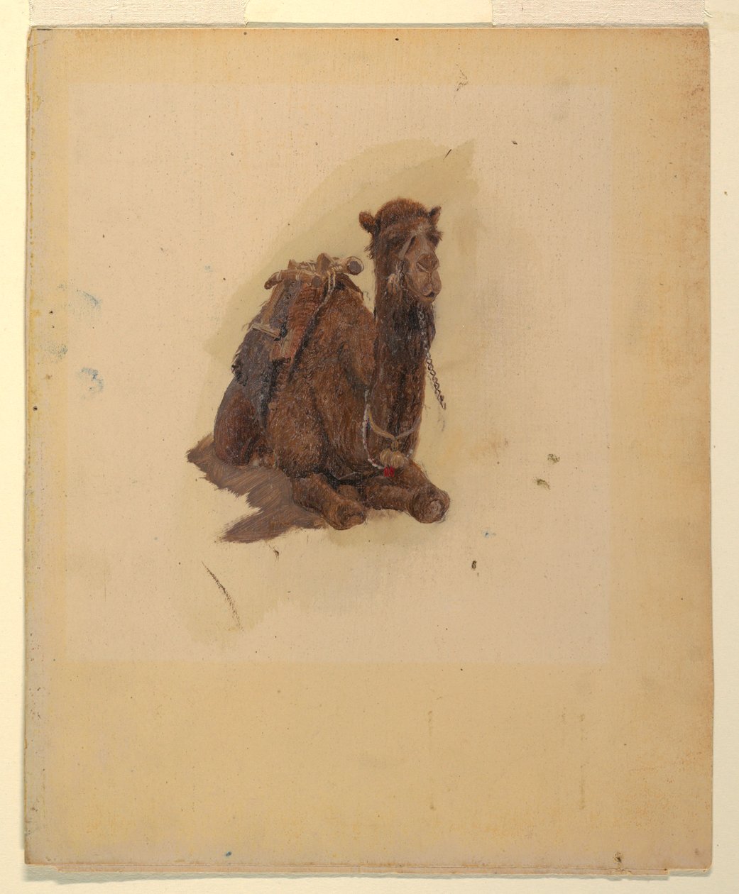 Tekening, hurkende dromedaris, 1868 door Frederic Edwin Church