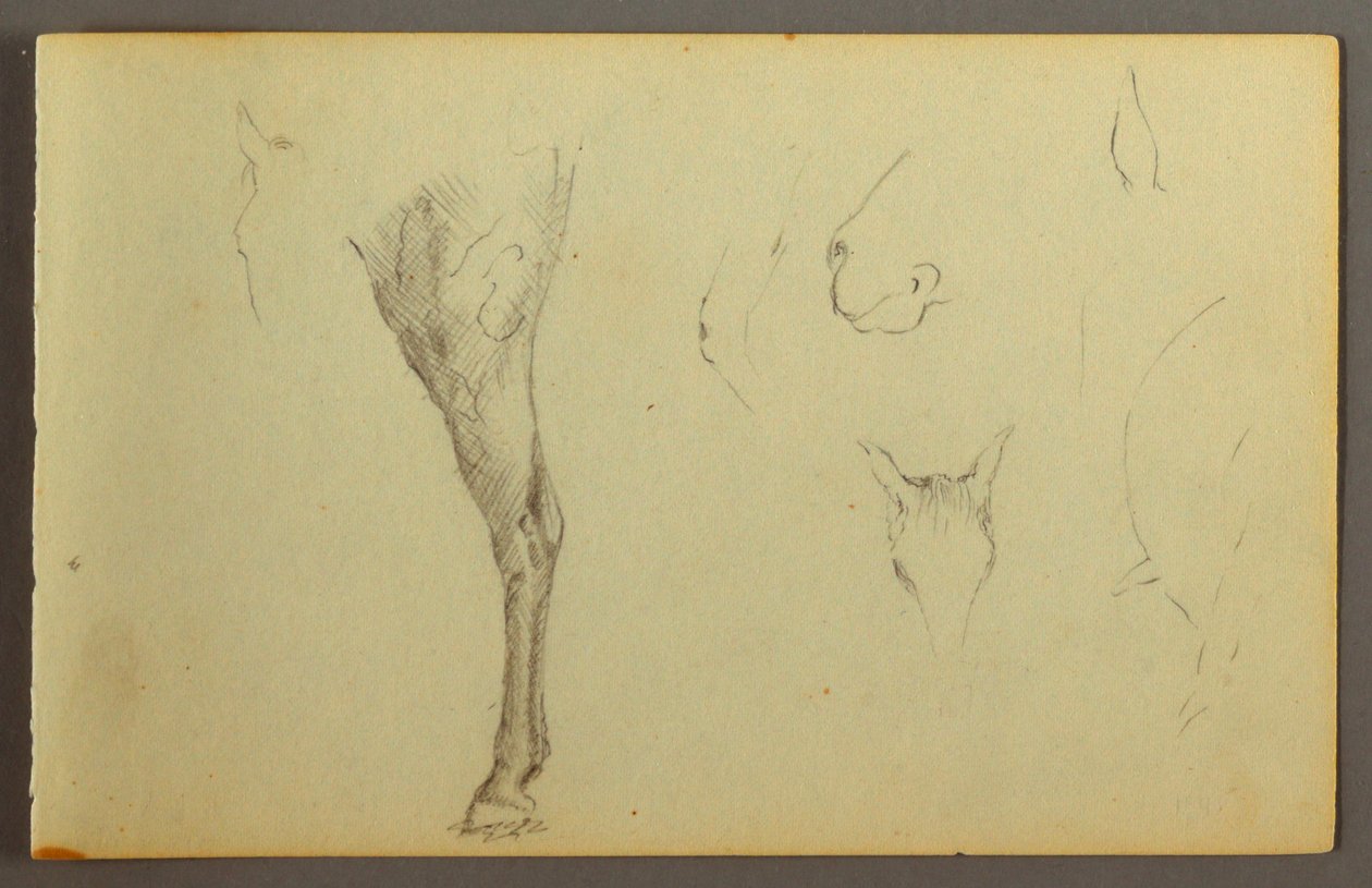 Tekening, Paardenstudies, mogelijk 1844 door Frederic Edwin Church
