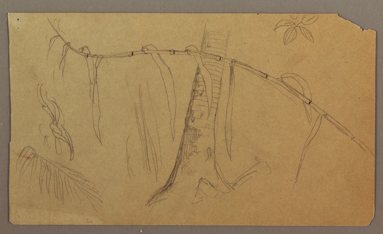 Tekening, Zeegezicht, 1865 door Frederic Edwin Church