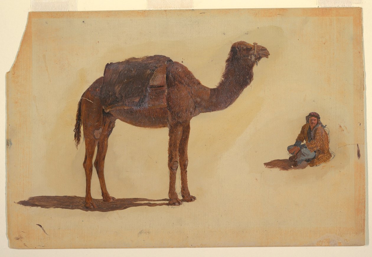 Tekening, Studie van een dromedaris, 1868 door Frederic Edwin Church