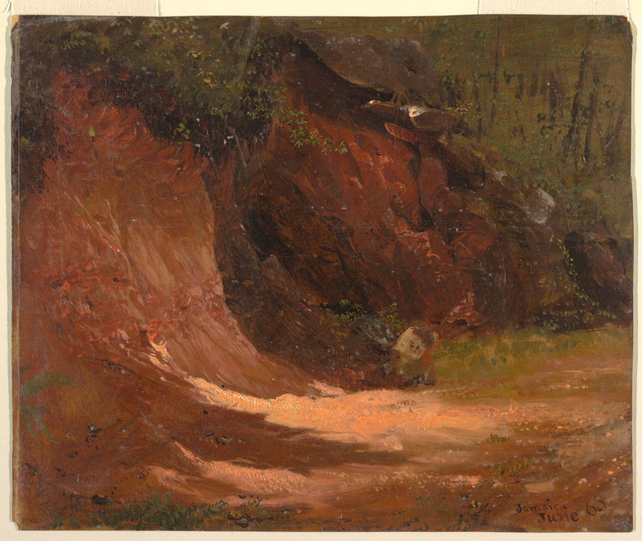 Tekening, Woodland bank, Jamaica, juni 1865 door Frederic Edwin Church