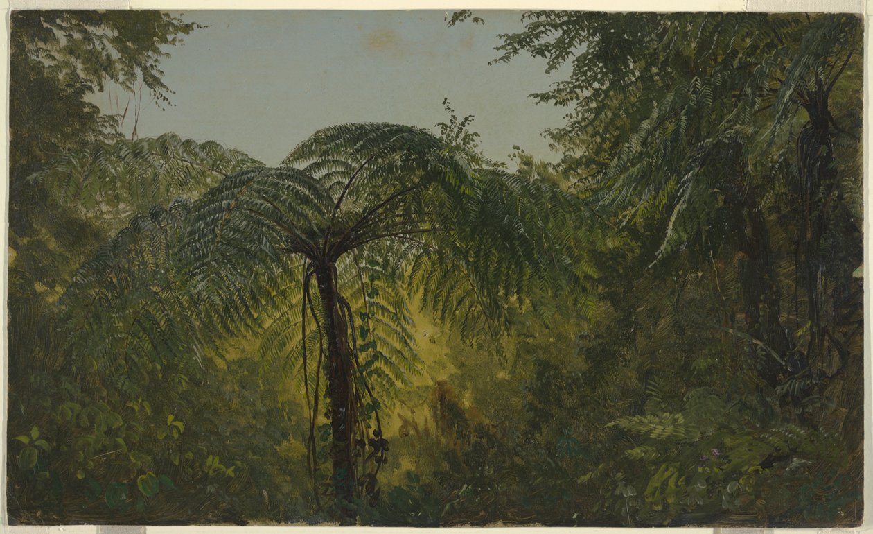 Jungle Gebladerte, Jamaica door Frederic Edwin Church