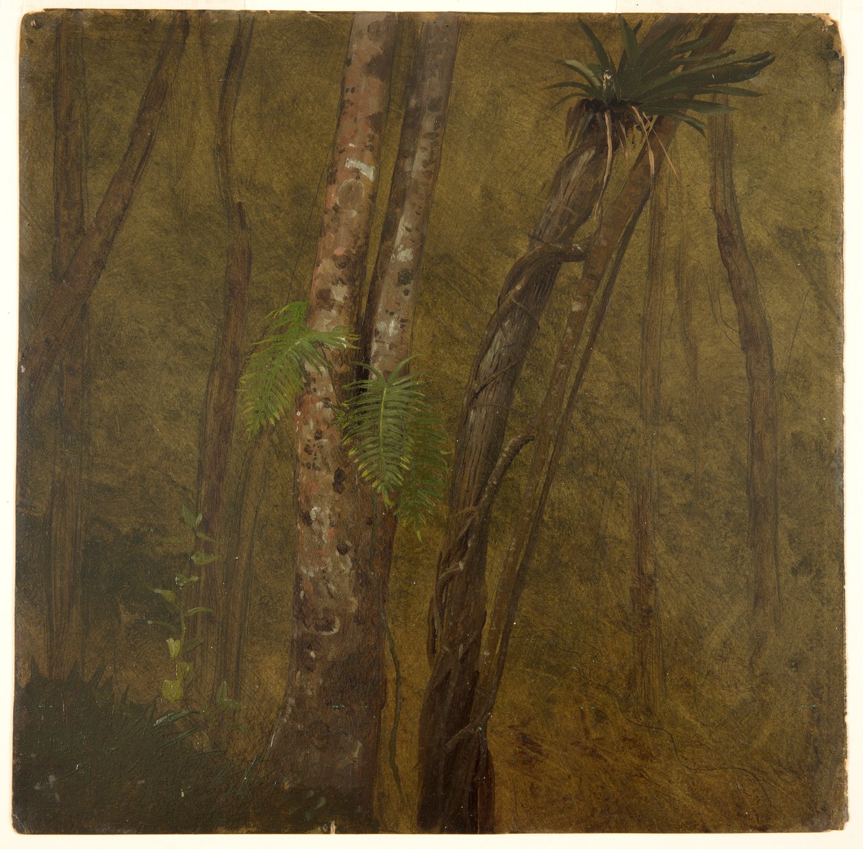 Landschap in Jamaica door Frederic Edwin Church