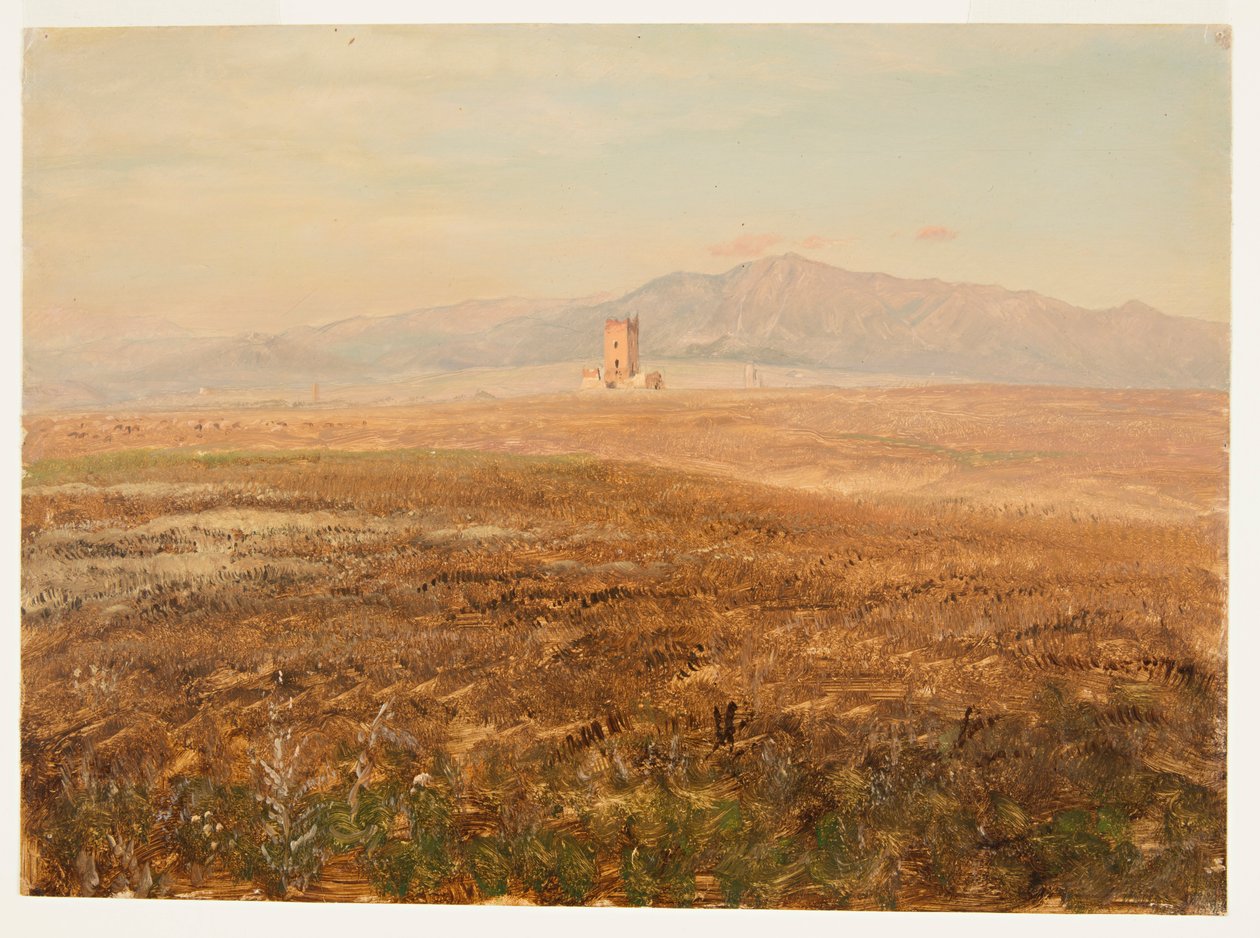 Mexicaans landschap door Frederic Edwin Church