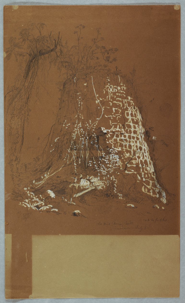 Oude Windmolen, Jamaica door Frederic Edwin Church