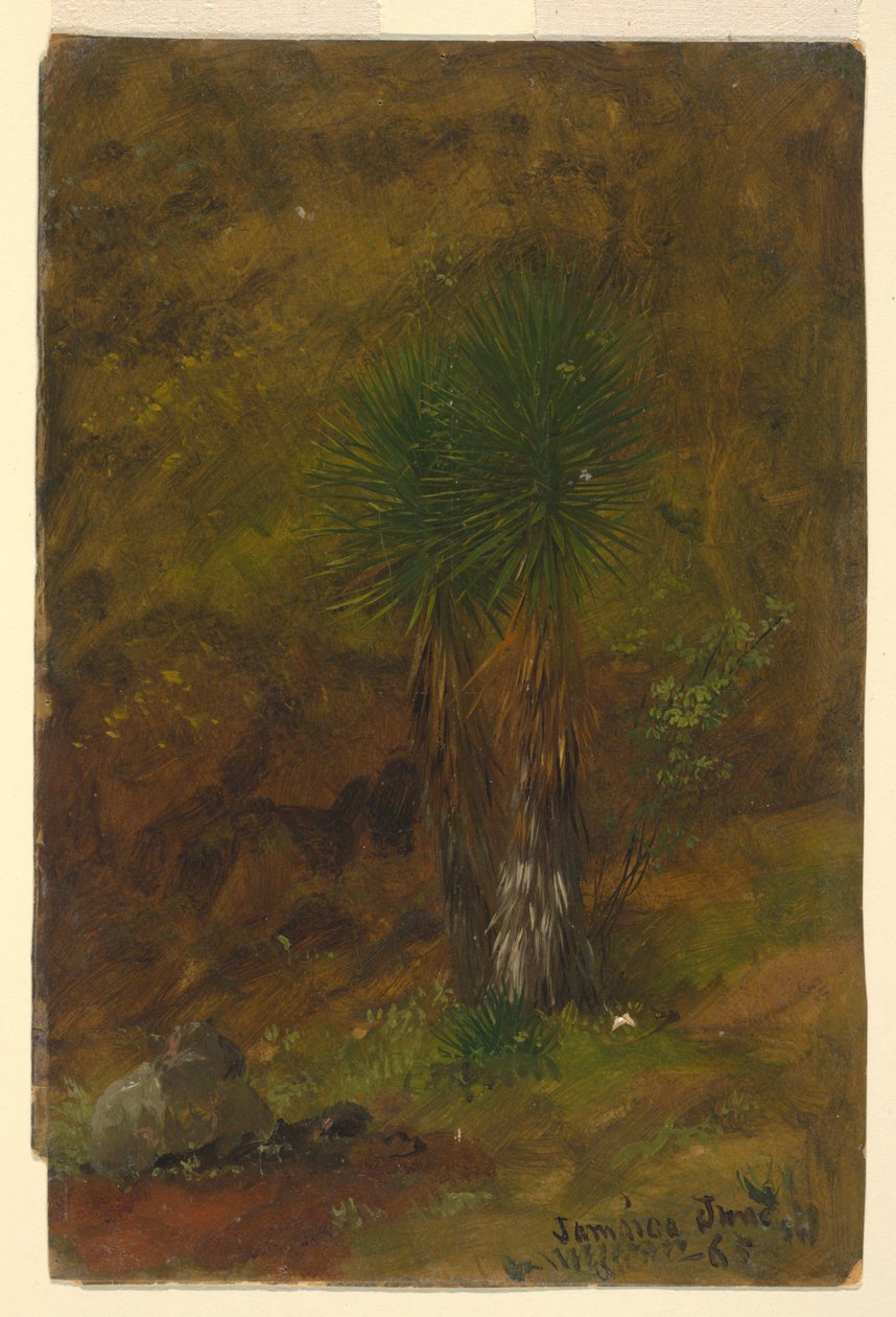 Palmbomen, Jamaica door Frederic Edwin Church