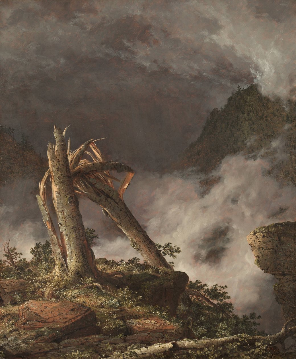 Storm in de bergen door Frederic Edwin Church