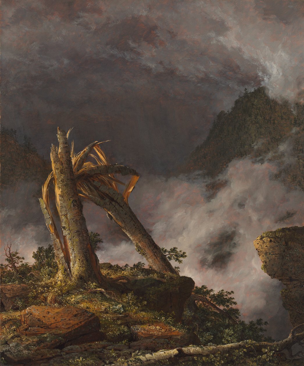 Storm in de bergen door Frederic Edwin Church