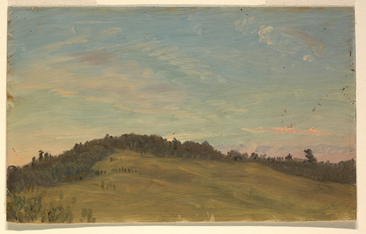 Zomerlandschap door Frederic Edwin Church