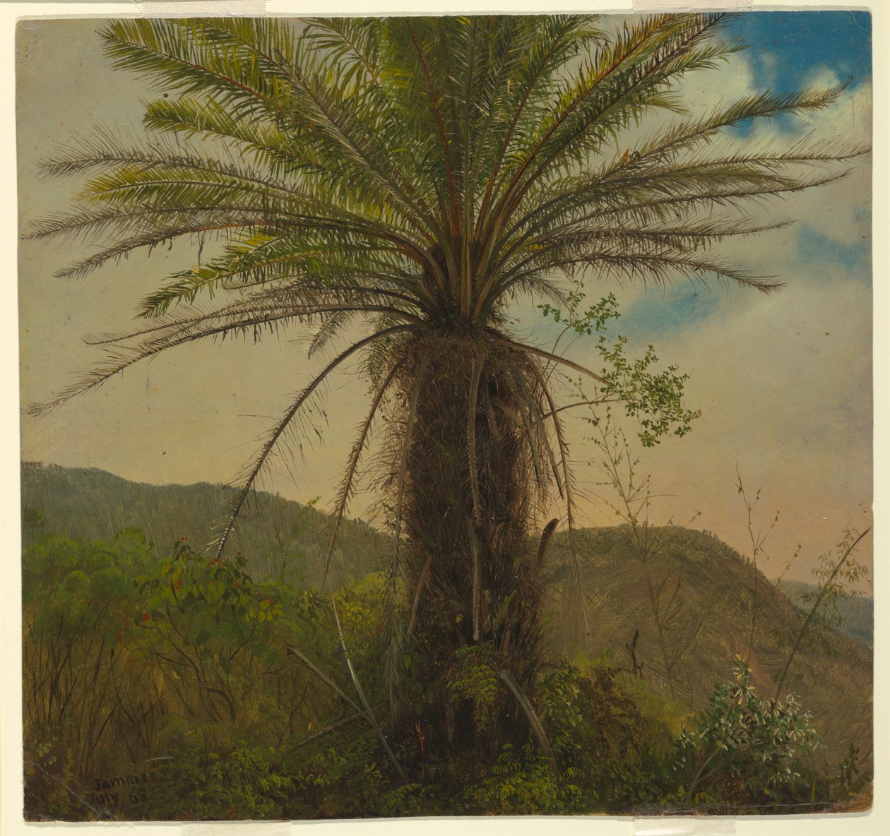 Boomvaren, Jamaica door Frederic Edwin Church