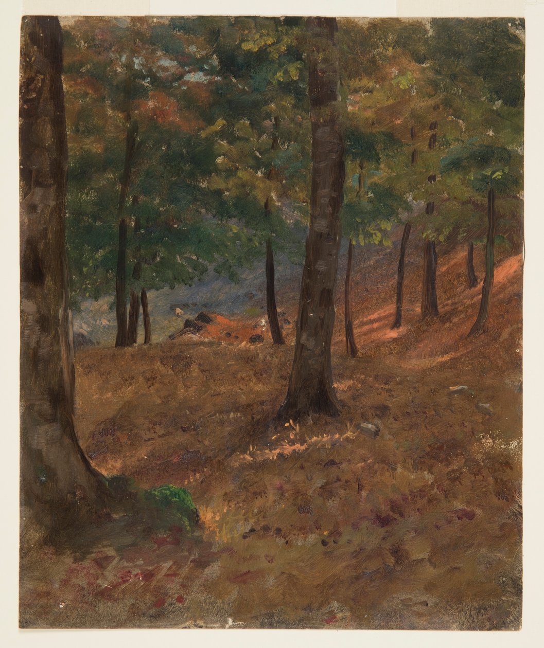 Boslandschap door Frederic Edwin Church