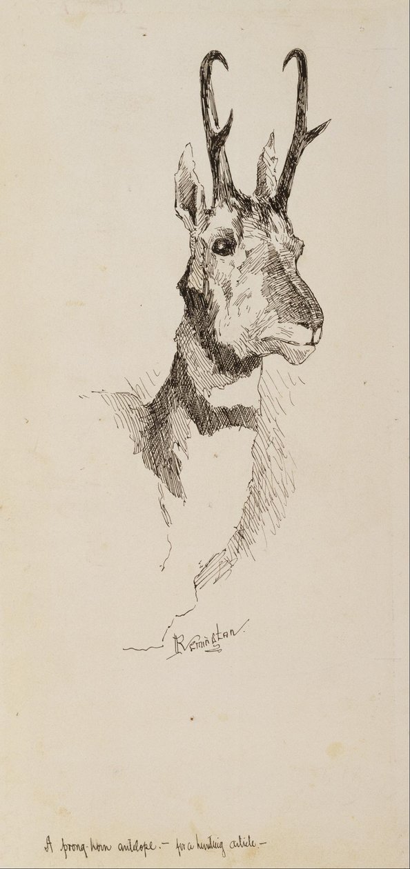 Een Pronghorn-antilope door Frederic Remington