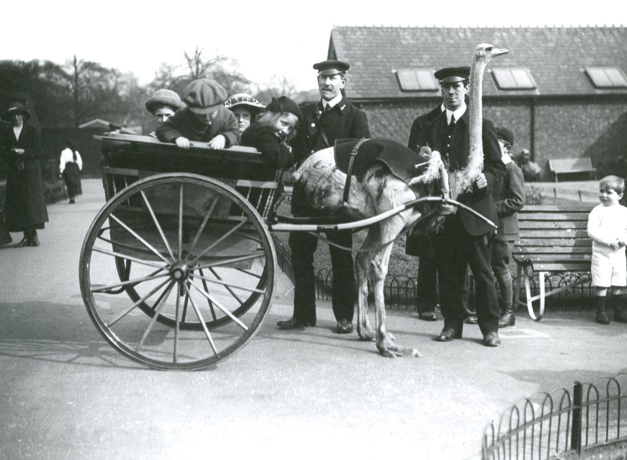 Een Struisvogelkarrit met kinderen en verzorgers George Blore en William Dexter in de London Zoo, c.1913 door Frederick William Bond