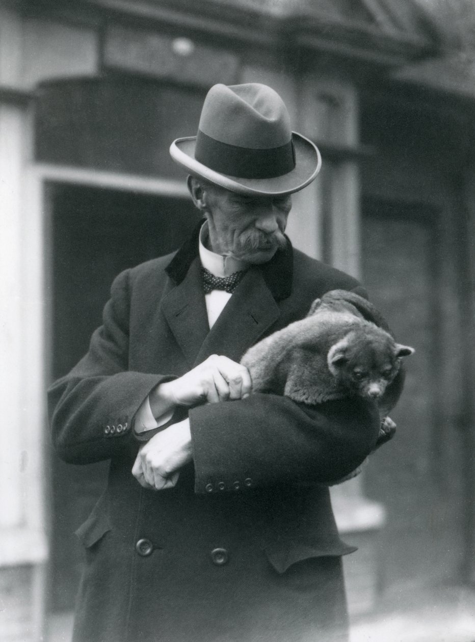 Reginald Innes Pocock F.R.S. houdt een kinkajou vast, London Zoo, 1923 door Frederick William Bond