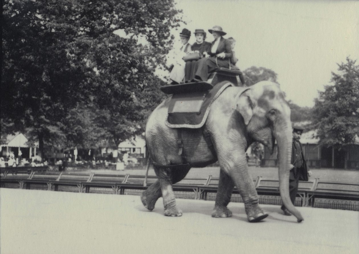 Drie dames krijgen een ritje op een Aziatische olifant, geleid door een verzorger, in de London Zoo, mei 1914 door Frederick William Bond