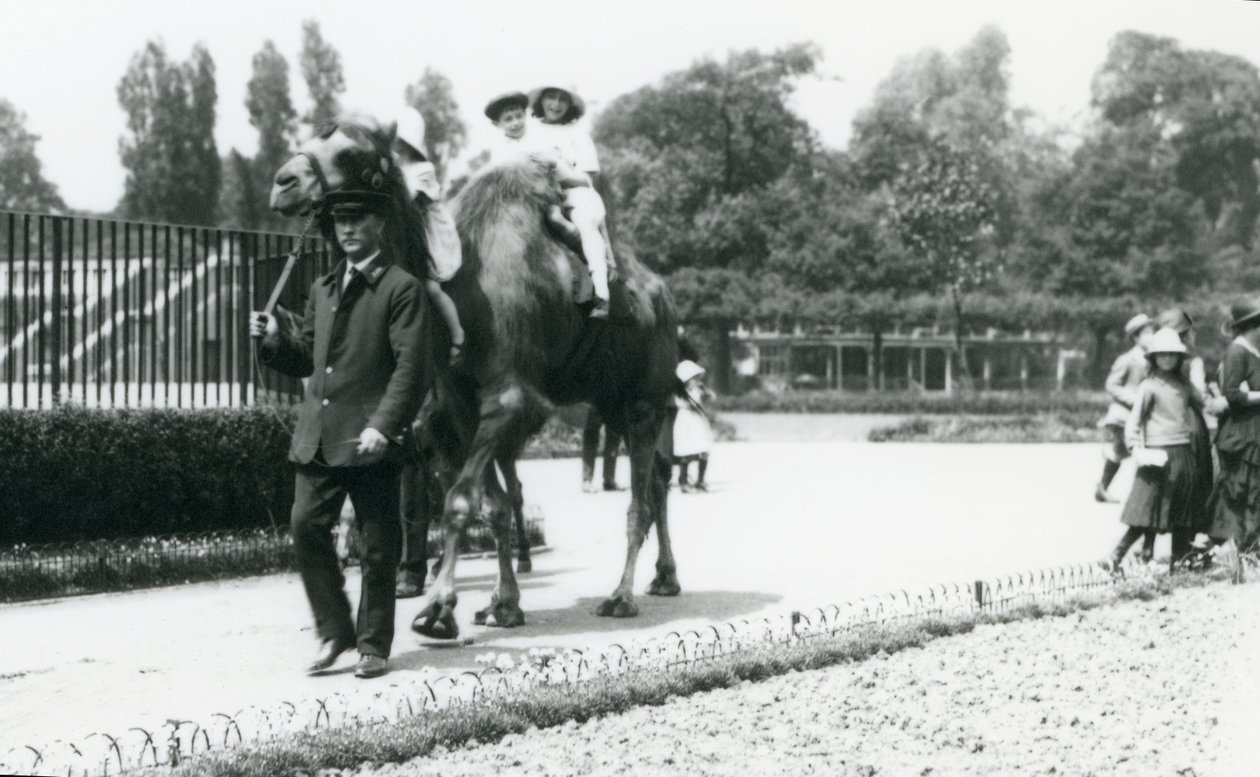 Twee jonge bezoekers rijden op een Bactrische kameel, geleid door een verzorger, in London Zoo, augustus 1922 door Frederick William Bond