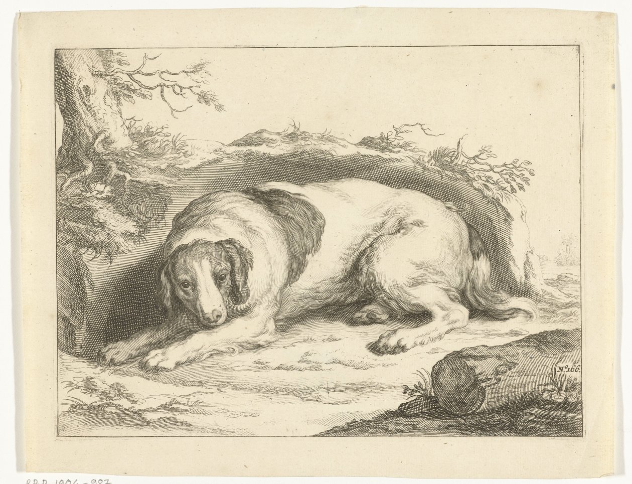 Spaniël door Frederick Bloemaert