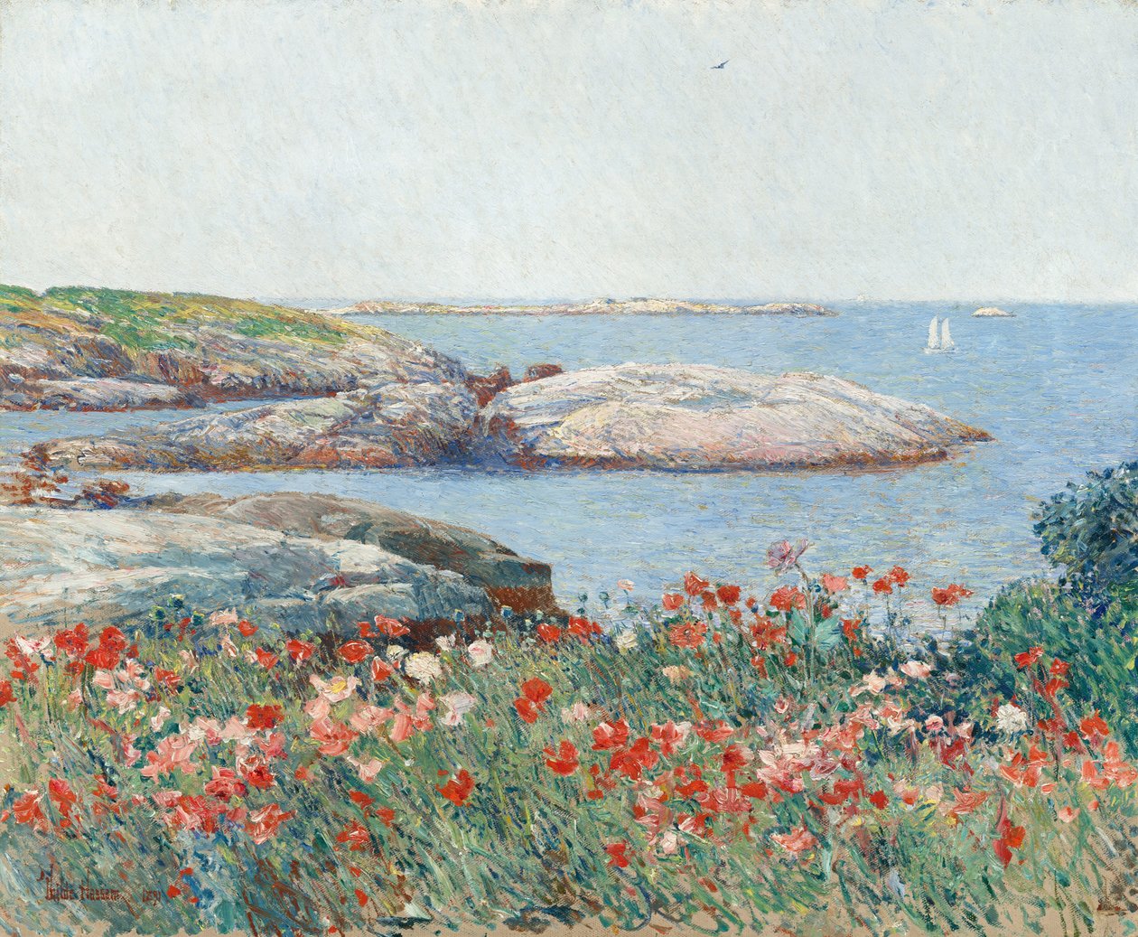 Klaprozen, Isles of Shoals door Frederick Childe Hassam