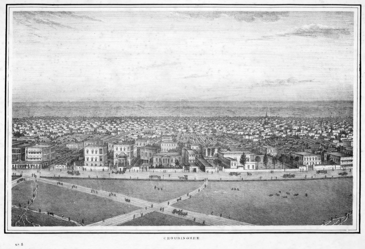 Chowringhee, Calcutta, India door Frederick Fiebig