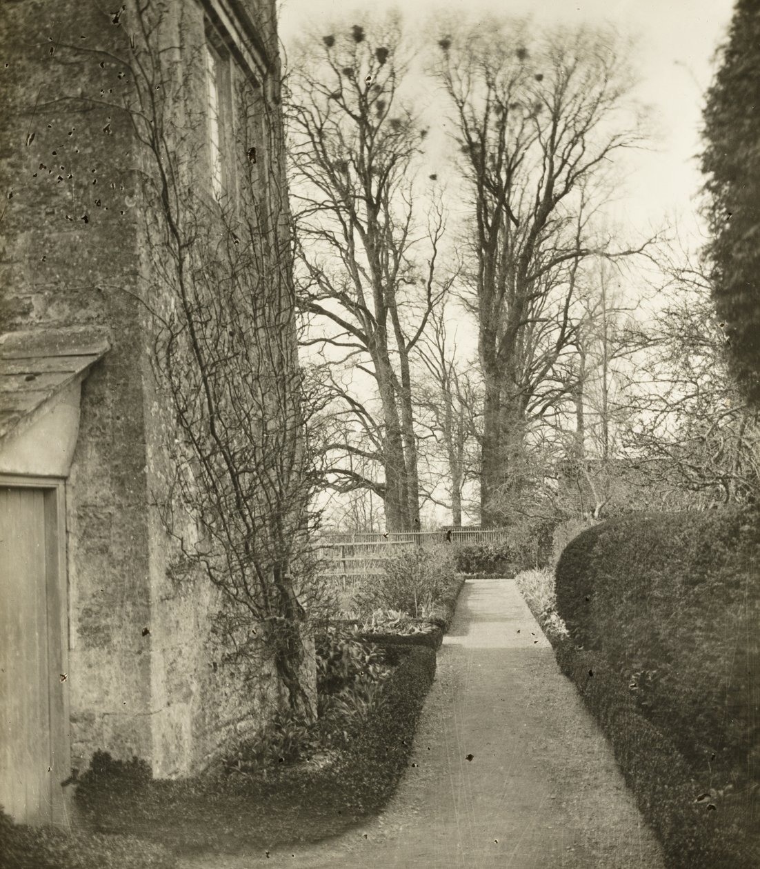 Kelmscott Manor: In de tuin door Frederick H. Evans