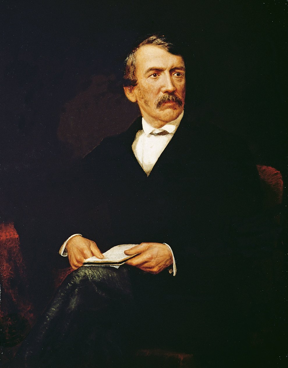 Portret van Livingstone (1813-1873) door Frederick Havill