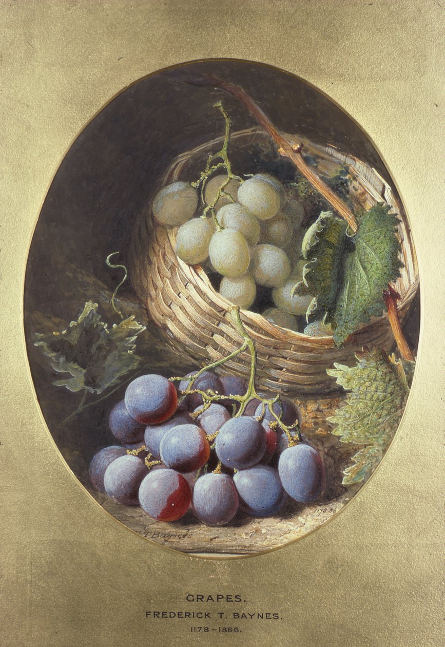 Rode en Witte Druiven door Frederick Thomas Baynes