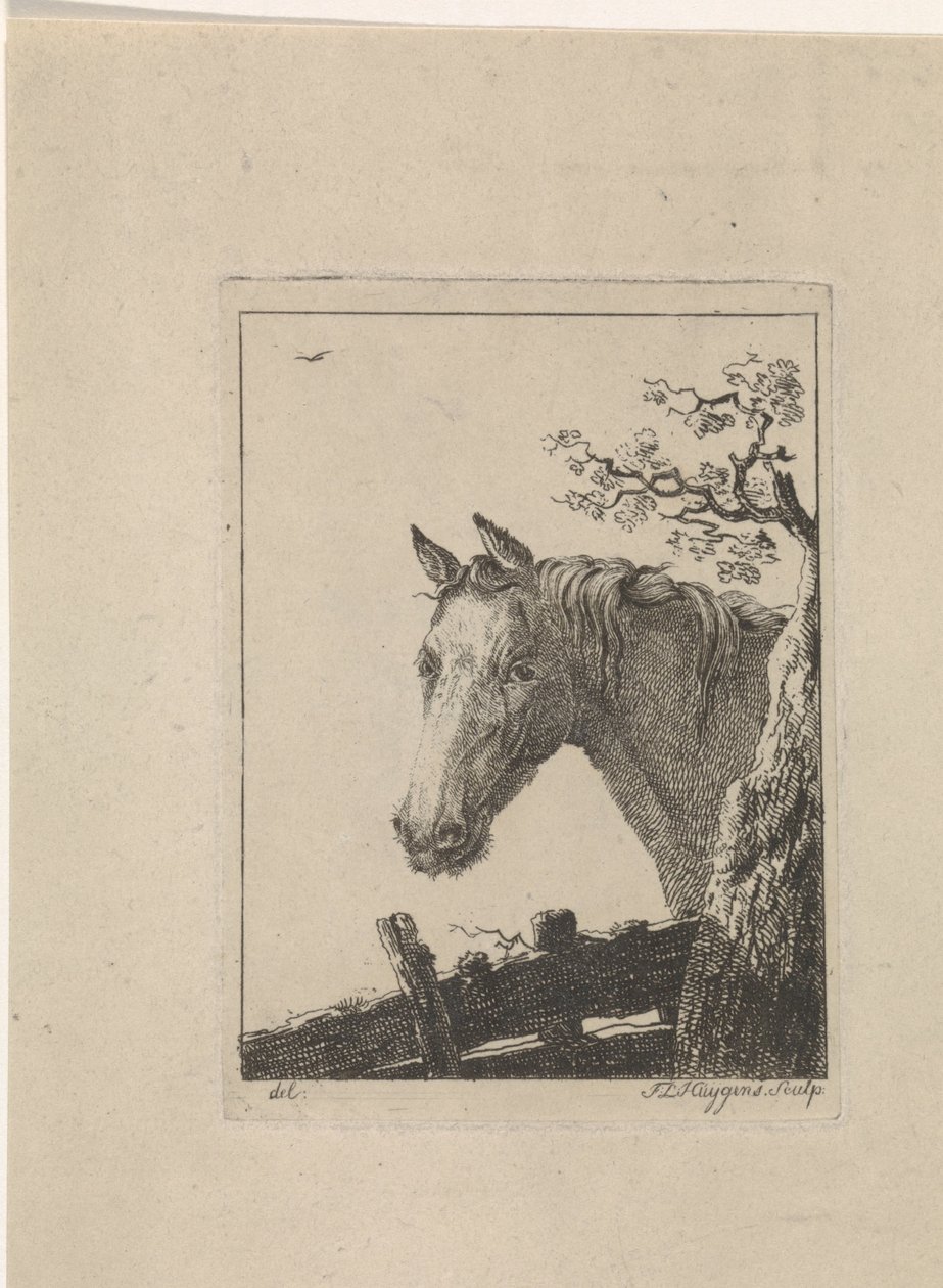 Hoofd van een paard door Frederik Lodewijk Huygens