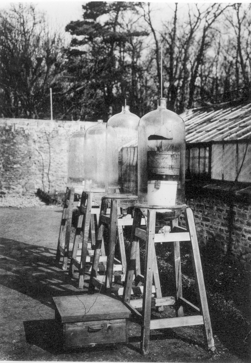 Klokglazen gebruikt om atmosferisch stikstof te bestuderen onder invloed van elektriciteit bij het Station Marcellin Bertholet, Meudon, uit een boek over 400 jaar Collège de France, gepubliceerd in 1930 door French Photographer