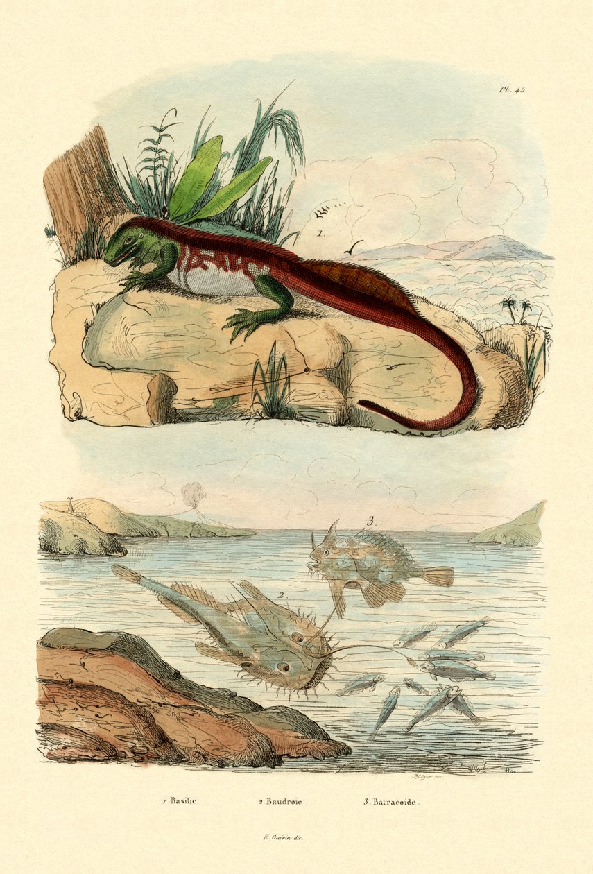 Basilisk door French School