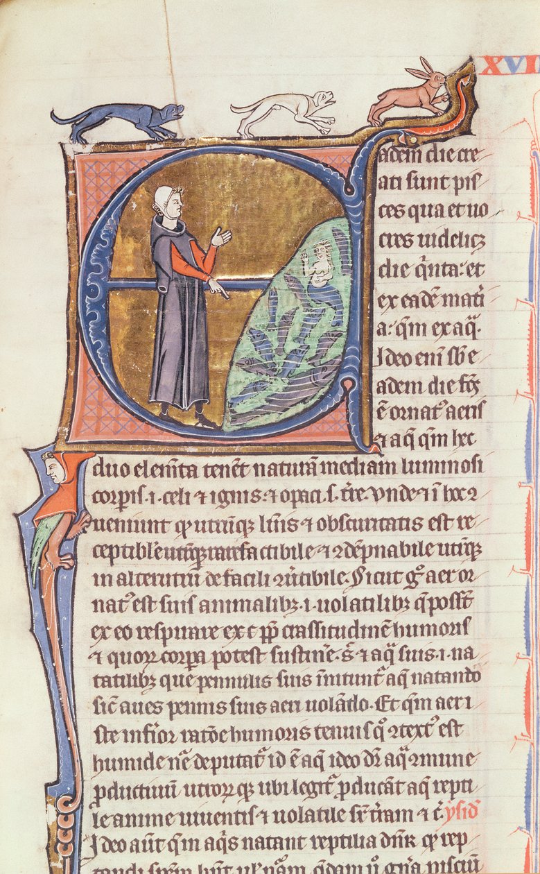 Ms 426 fol.213 Een dokter bij een visvijver, uit 