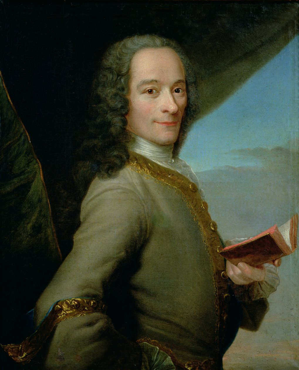 Portret van de Jonge Voltaire (1694-1778) door French School
