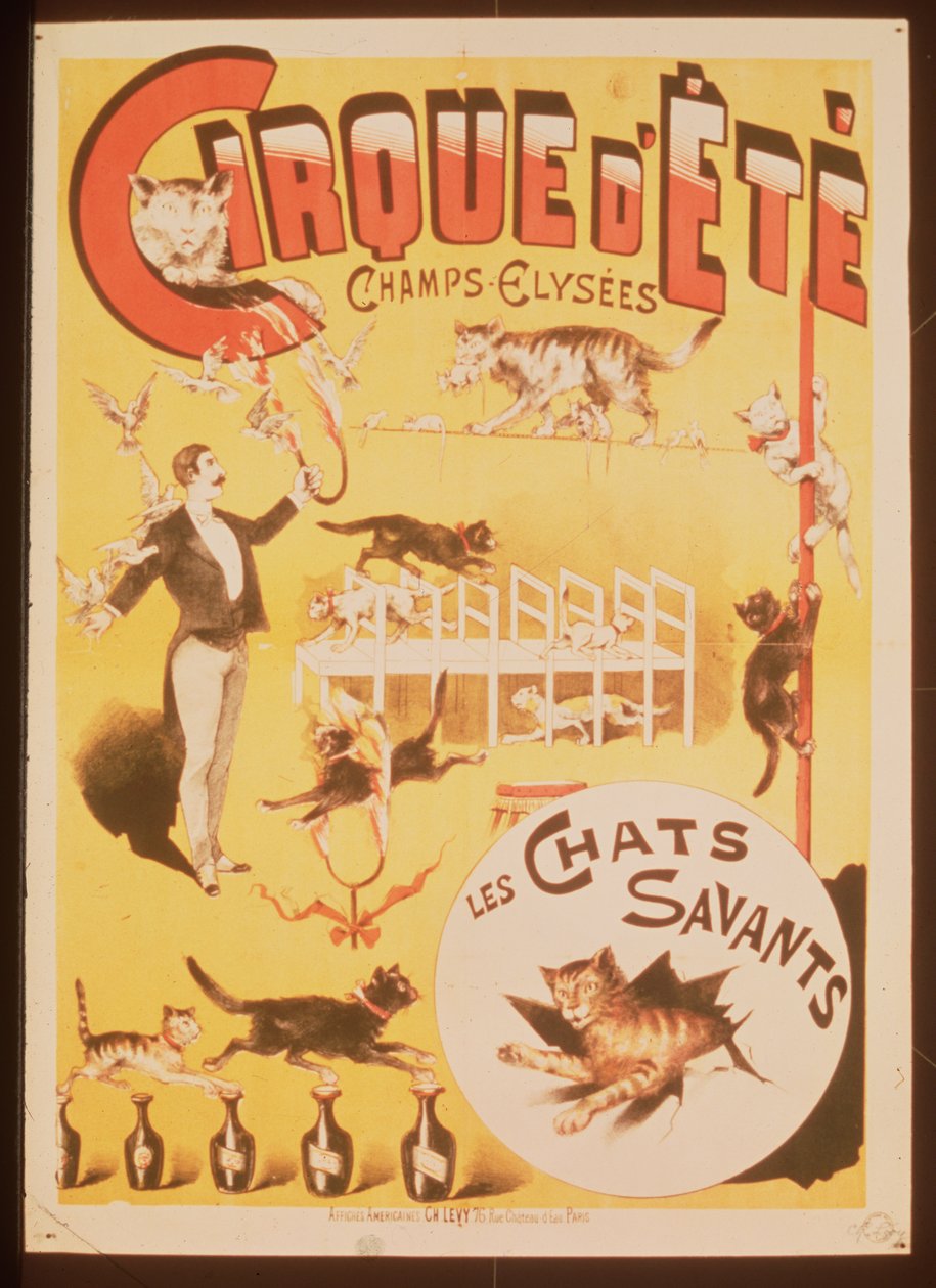 Poster die het Cirque d