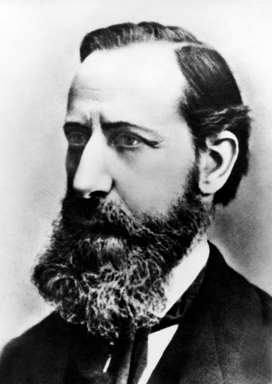 Henri Nestle, ca. 1875 door French Photographer