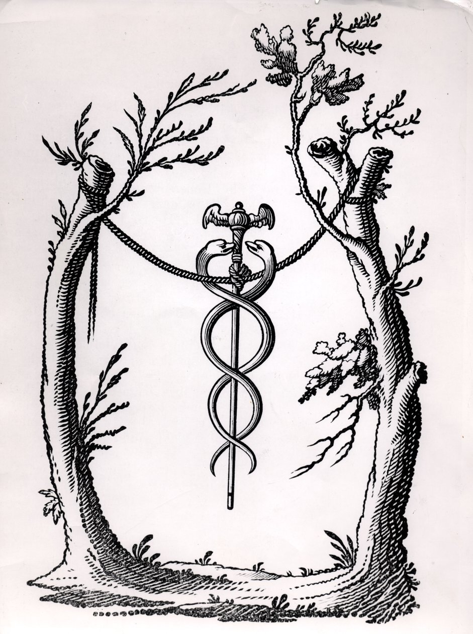 Een caduceus door French School