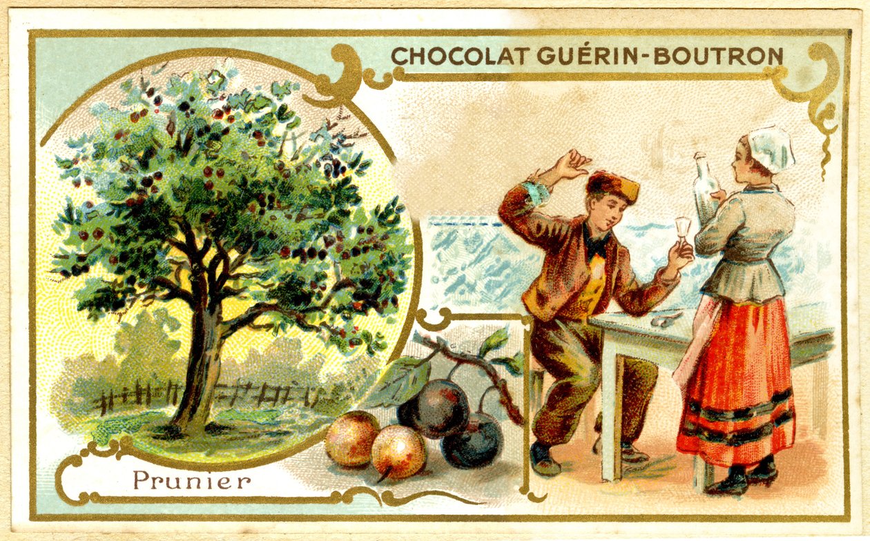 Advertentie chromolithografie van Guérin Boutron chocolade door French School