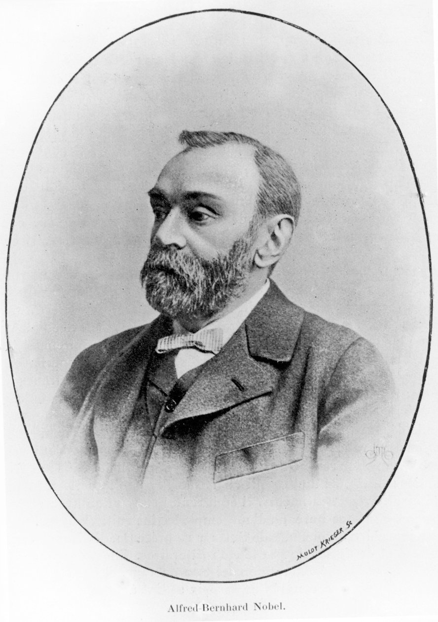 Alfred Bernhard Nobel door French School