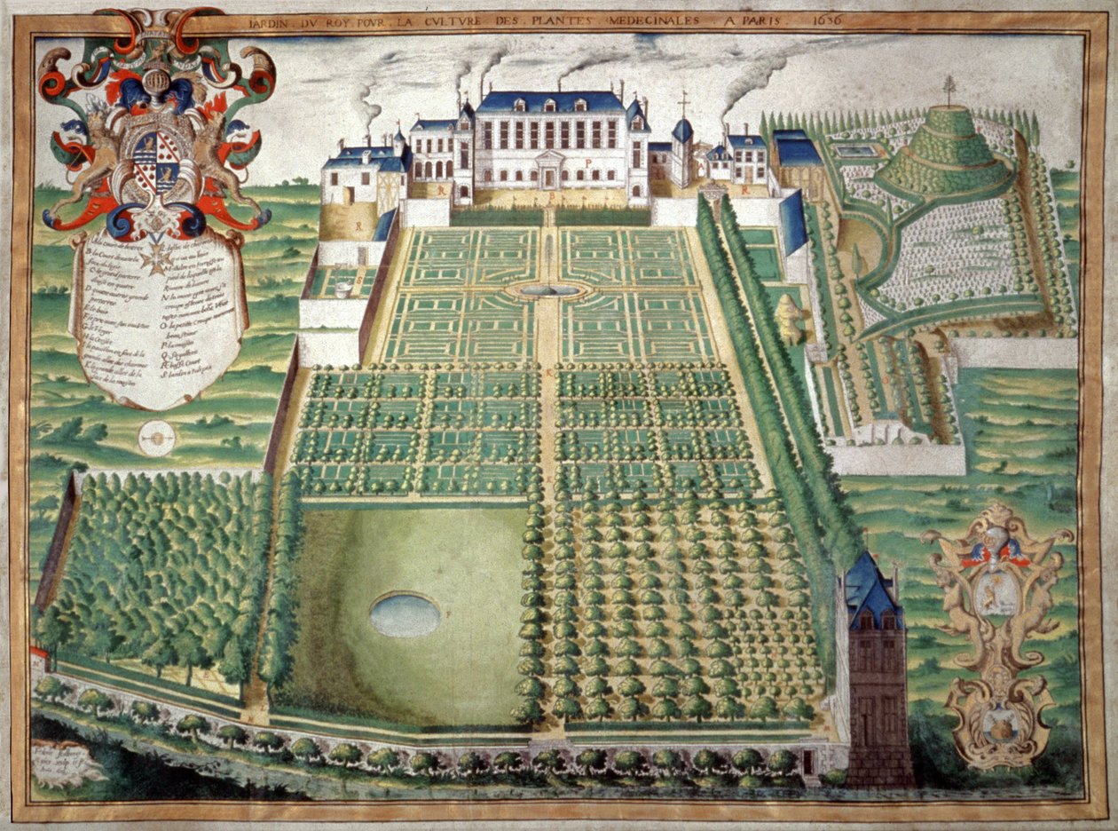 Jardin des Plantes, Parijs. 1636 door French School
