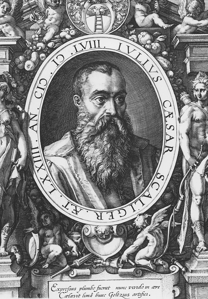 Julius Caesar Scaliger (gravure) door French School
