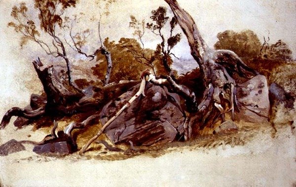 Studie van bomen, c.1825 door French School