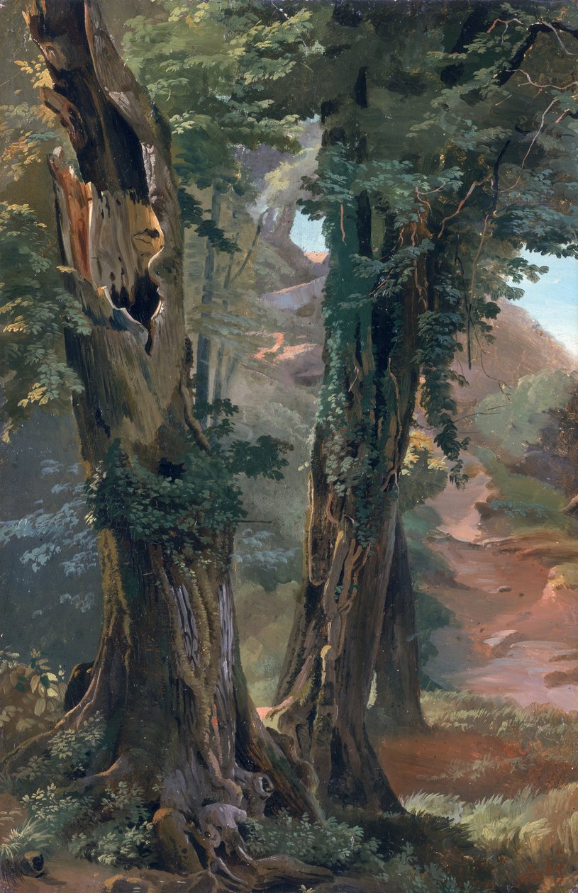 Oude iepen, c.1835 door Friedrich Nerly