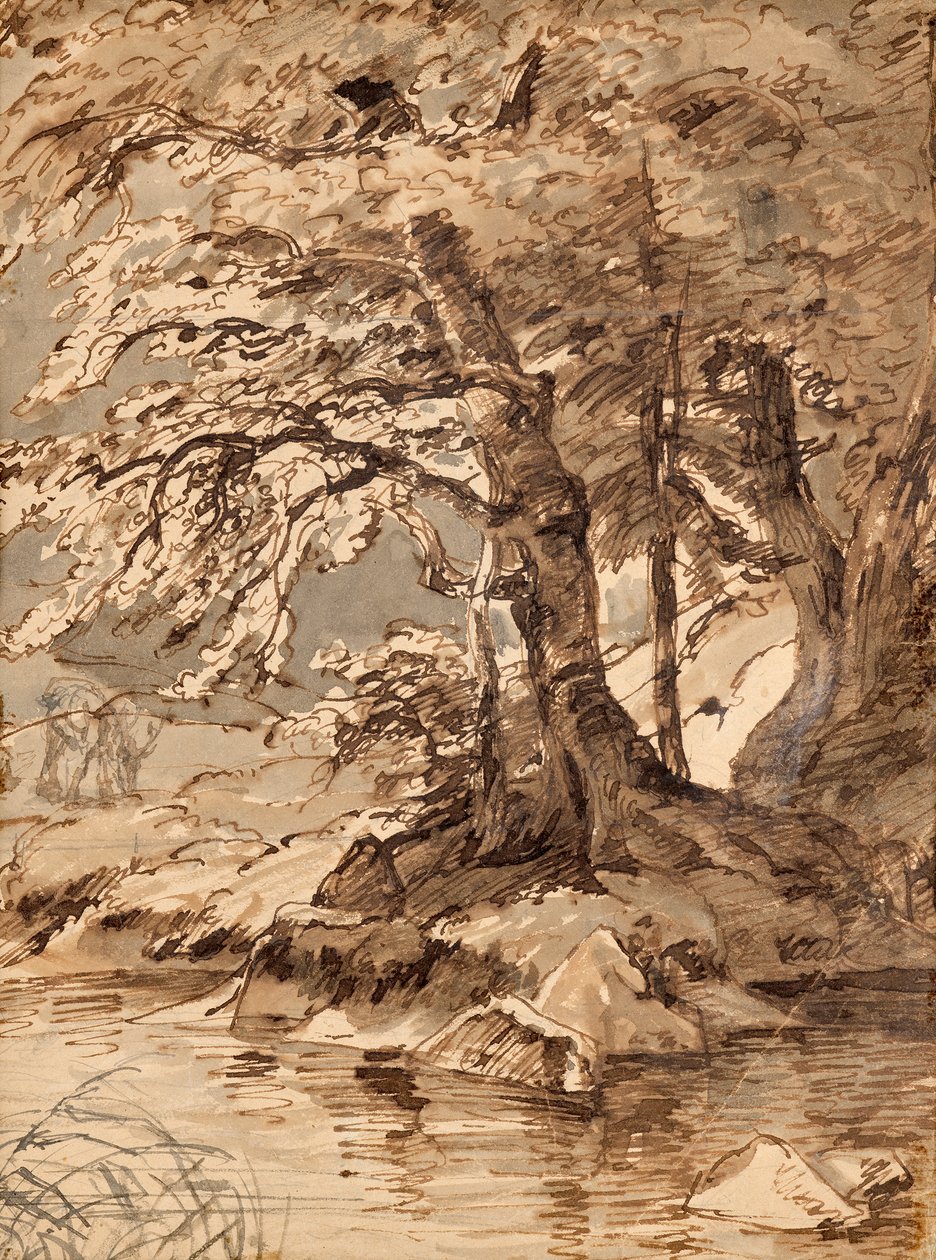 Boomstudie door Friedrich August Mathias Gauermann