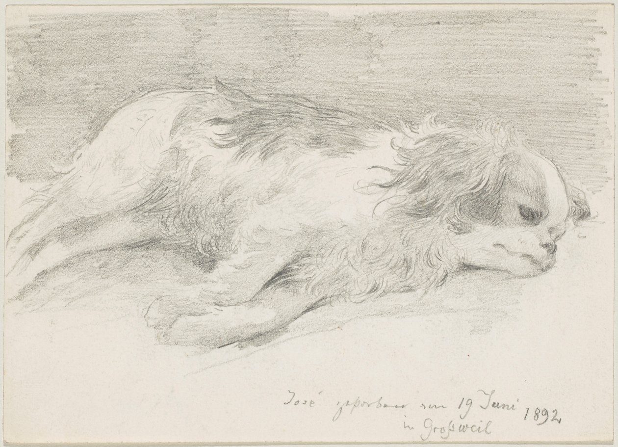 Hondenstudies door Friedrich August von Kaulbach