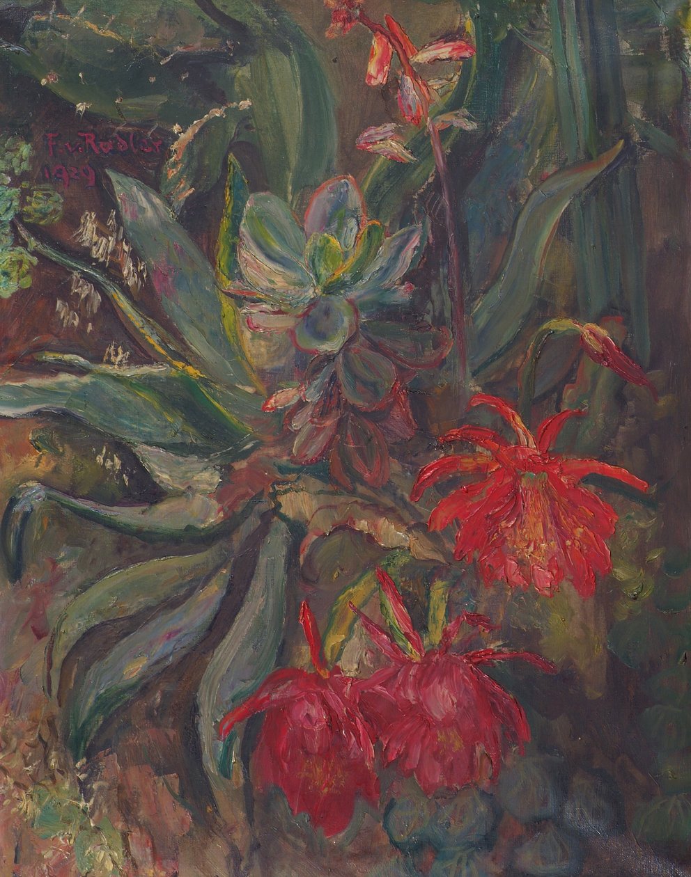 Bloeiende cactussen door Friedrich Radler